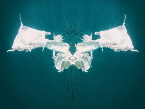 Afval in oceaan verheven tot kunst