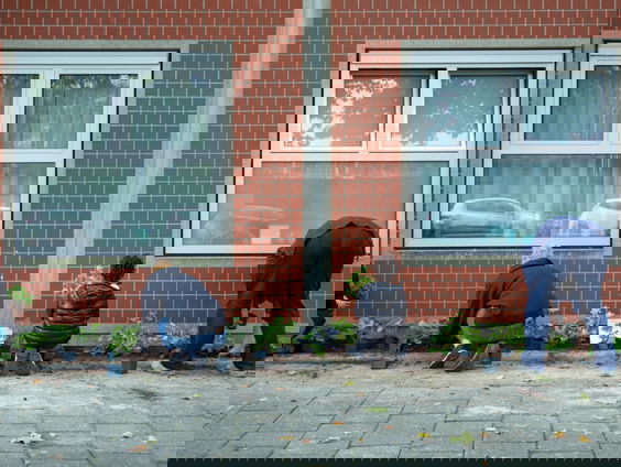 Bij NK Tegelwippen moeten miljoenen tegels ruimte maken voor groen