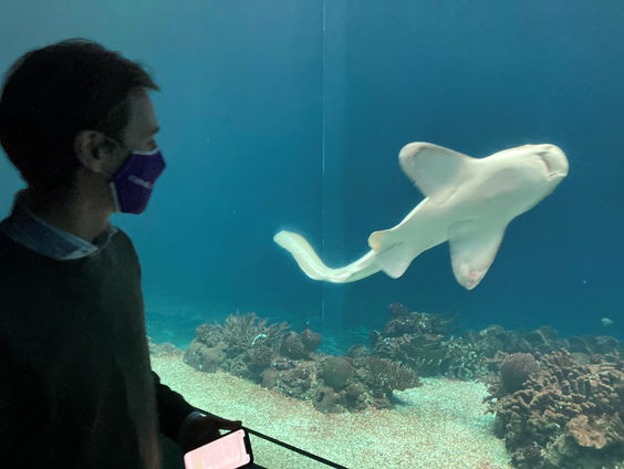 Verhalen van Spraakmakers: Aspirant-Kamerleden ondergaan stresstest - deel 3