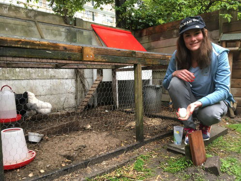 Diervriendelijke eieren in de lift