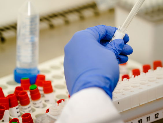 Ook herbesmettingen in Nederland en België