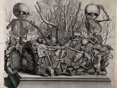 Lezen in het Donker met Luuc Kooijmans