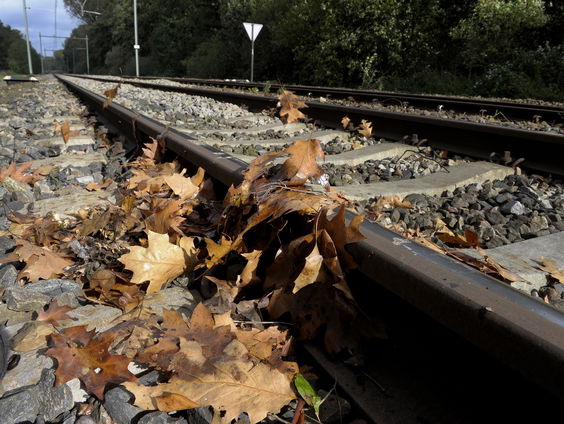Herfst op het spoor