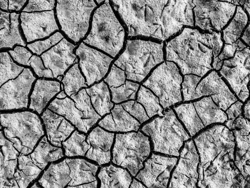 Europa zucht onder een droge zomer