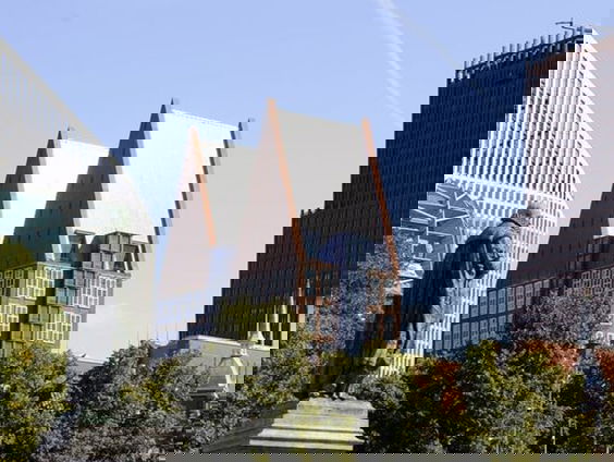 Vraag aan Den Haag: Spreken Kamerleden namens zichzelf of namens hun partij?