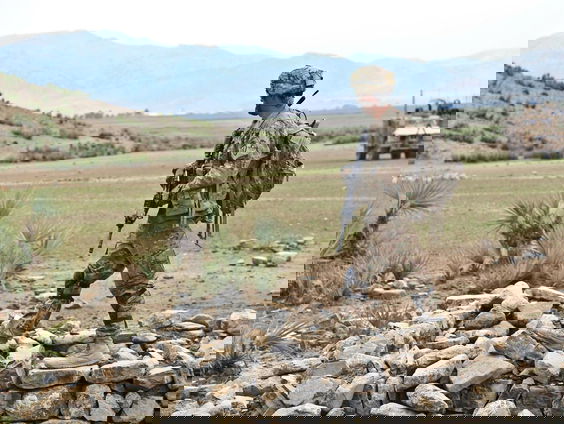 'Voor de algehele veiligheid, moeten westerse militairen weer zo snel mogelijk terug naar Afghanistan'