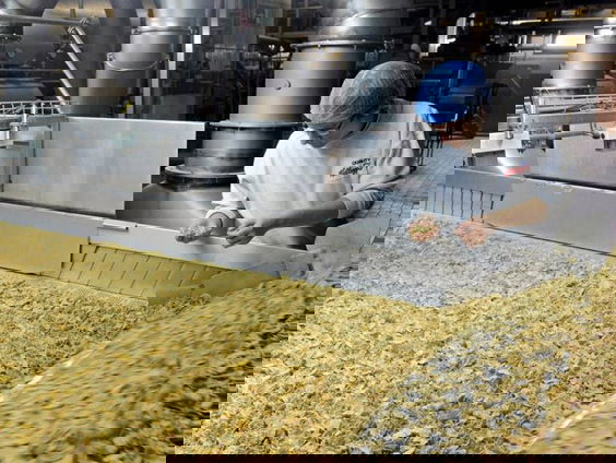 1400 onslagen bij de Kellogg's fabriek