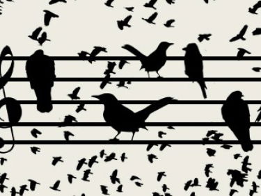 Alle dertien goed! Doe de quiz