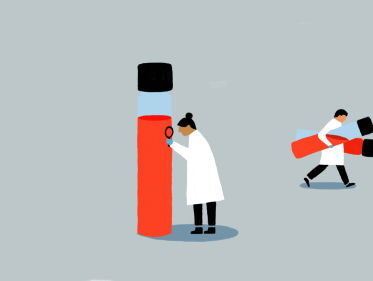 Versnippering in labland