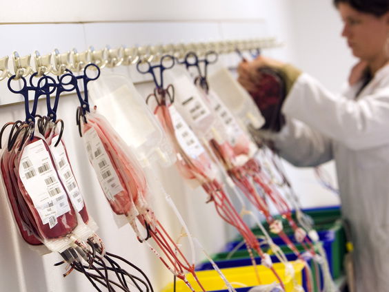 Bloedbank Sanquin gaat testen op westnijlvirus in regio Utrecht