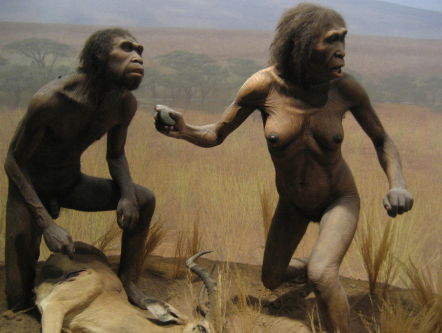 Eerste Europeaan was zwart