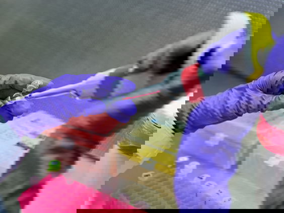 Nederlands DNA-onderzoek met China is 'fundamenteel fout'