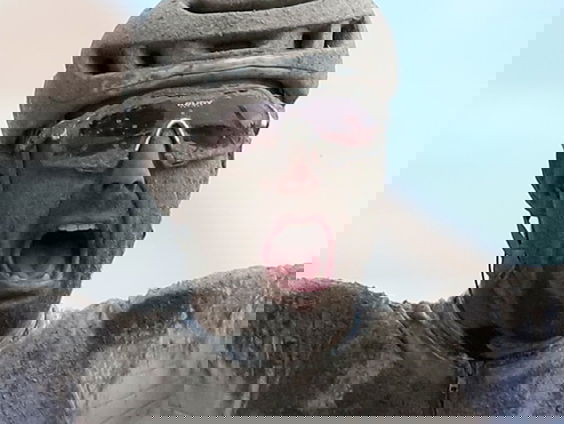 Finish Parijs-Roubaix