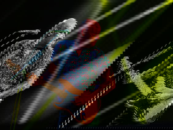 Wat maken Zeeuwen van de teksten van Blof?