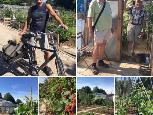 Mijn Nederland: volkstuinders boos op gemeente