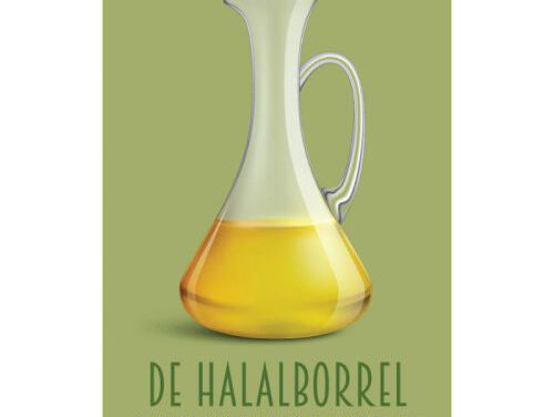 Het probleem met 'het islamdebat' in Nederland