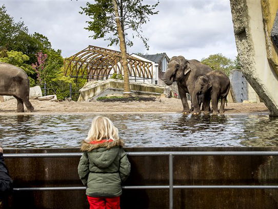 Alles over de invulling en het bestaansrecht van dierentuinen anno 2021