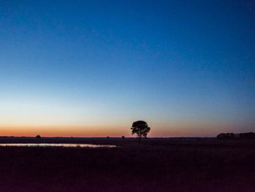 Droogte in het natste heidegebied van West-Europa