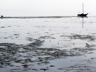 Komen we meer te weten over de vissersramp op de Waddenzee?