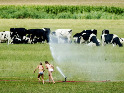 Kinderen hebben zomervakantie: 'Verveling is niet erg'
