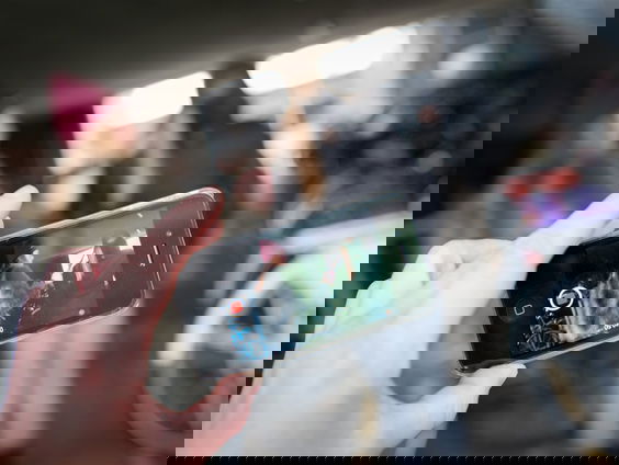 Moet er een online paspoort komen?