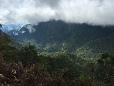 De vogels van Bosavi