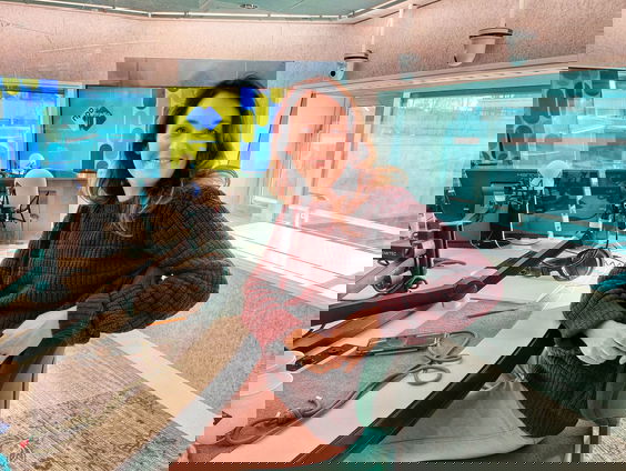 Marjolijn van Heemstra en George van Hal over de raket die moet crashen op een asteroïde