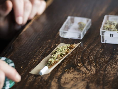 Den Haag debatteert over experimenten met wietteelt