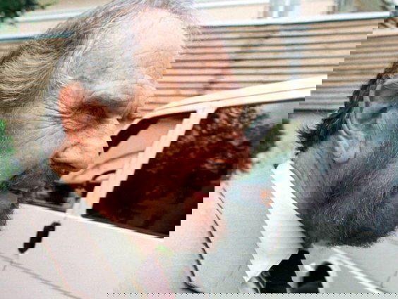 Dubbelspion George Blake overleden