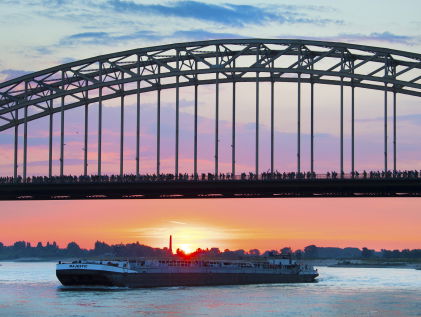 Dode bomen in de rivier