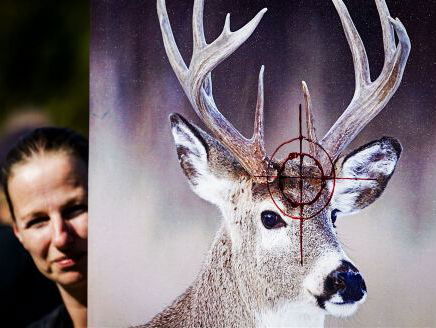 Peter Klaver wil herten niet doodschieten, maar steriliseren