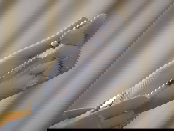 Taliban stemt in met vaccinatiecampagne polio