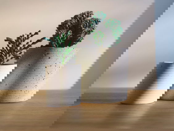 Plantenbieb Assen een succes: 'pick one, leave one'