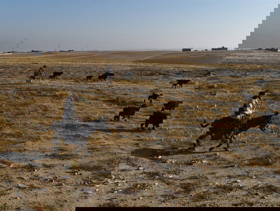 Afghanistan kampt met droogte