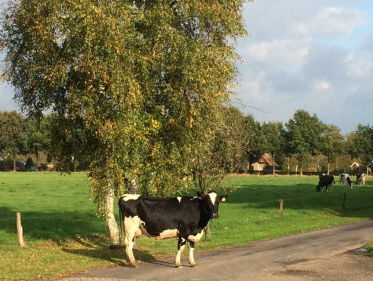 Verhalen van Spraakmakers: nieuwe boer - deel 2