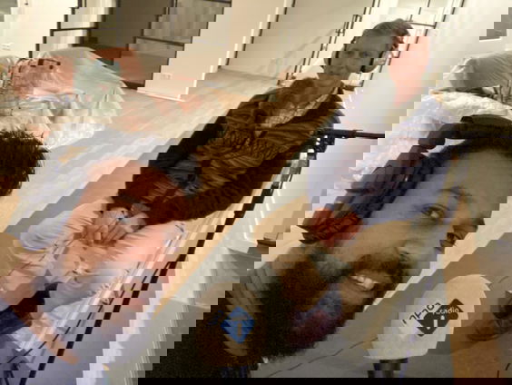 Bloedbank Sanquin wil dat homoseksuele mannen ook bloedplasma mogen doneren