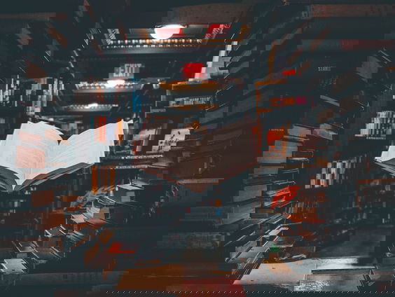 25 jaar 'Vrouwenprijs voor fictie': Ngozi Adichie winnaar van de winnaars