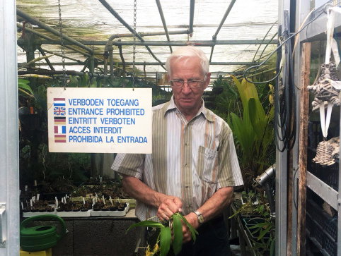 Wij werken door: 67-plussers op de arbeidsmarkt