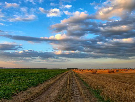 Kwaliteit aardbodem daalt