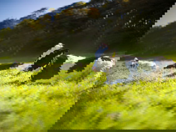 Boerin Sanne Beld maakt natuur-inclusieve lessen voor het VMBO