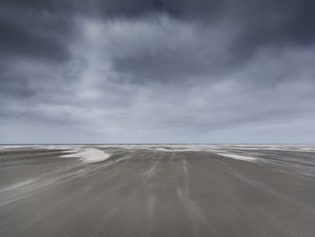 Monique Moors maakt natuurfilms van 1,5 minuut