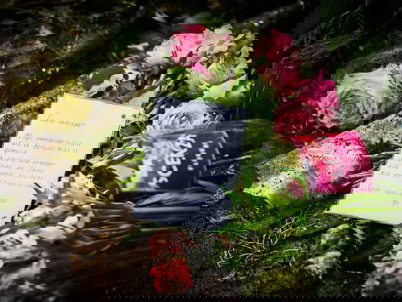 Kan virtual reality messengeweld onder jongeren verminderen?