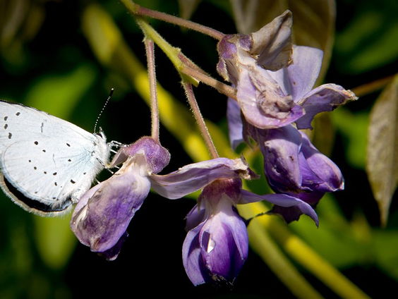 Stand.nl: Een betere biodiversiteit begint bij jezelf