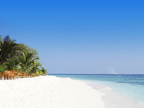 Onderzoeker Bart zit vast in het paradijs