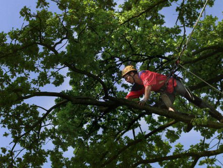 Pas op?! Tel eerst even tot 10...