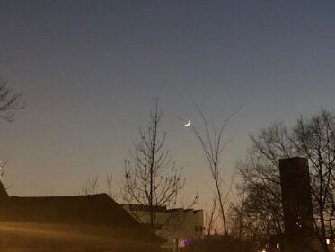 Nachtwandeling met Govert Schilling