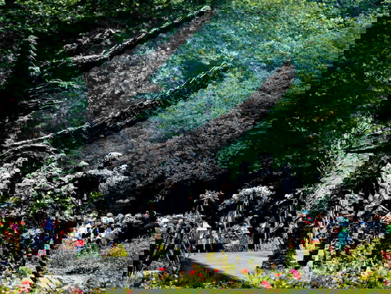 50-duizend handtekeningen voor petitie slavernijverleden van FunX