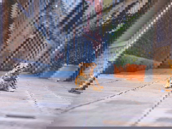 Hoe ontdek je natuur in een nieuwbouwwijk?