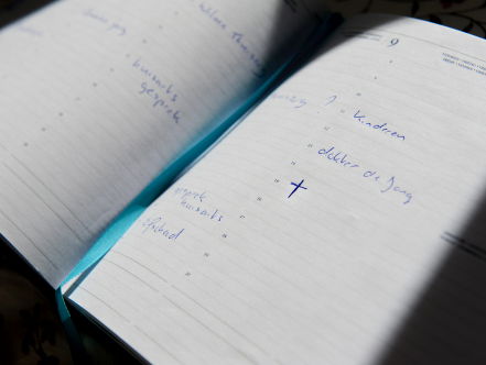 'Euthanasie behandeloptie bij psychisch lijden?'