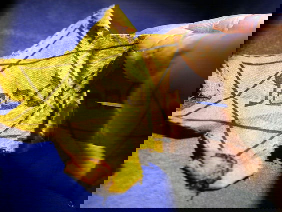 Antisemitisme lijkt normaal te worden in Nederland